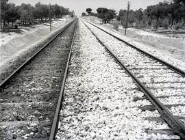 Renovación de vía entre Ávila y Medina del Campo (Valladolid), en la línea Madrid a Irún