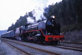 Locomotora de vapor 141F-2111 Mikado del Museo del Ferrocarril de Galicia realizando el trayecto ...