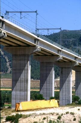 Contenedor caído al pie del viaducto de Font de la Figuera