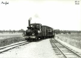 Ferrocarriles de vía estrecha de Mariefred (Suecia)