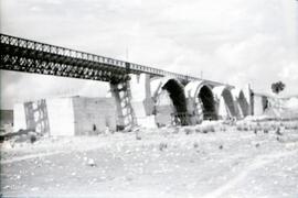 Sustitución del antiguo puente metálico de 11 tramos y 570,80 m sobre el río Guadiana, con vigas ...
