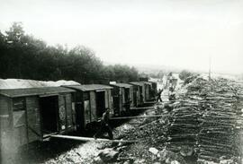 Fotografías : Explotaciones forestales / [RENFE]