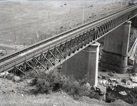 Puente metálico de tres tramos y 146 m, con vigas tipo Linville. Situado en el km 304,508 de la l...