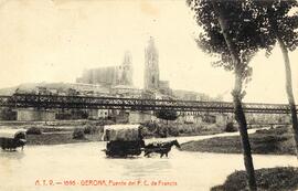 Vista de Puente del Ferrocarril de Francia