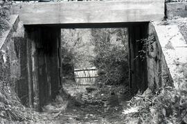 Puentes de la línea de León a Gijón