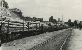 [Anexo del Informe sobre la División de Explotaciones Forestales de RENFE]