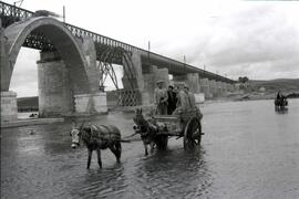Sustitución del antiguo puente metálico de 11 tramos y 570,80 m sobre el río Guadiana, con vigas ...