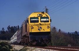 Estrella Galicia remolcado por locomotora diésel - eléctrica 319 - 316 - 6, en la línea de Barcel...