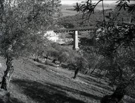 Puente metálico de 2 tramos y 32 m de longitud, con vigas tipo Pratt, situado en el km 420 + 733 ...