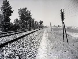 Renovación de vía entre Ávila y Medina del Campo (Valladolid), de la línea Madrid a Irún