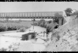 Puente sobre el río Segura, en el km 440,990 de la línea Chinchilla-Cartagena