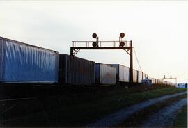 Edelstein (Illinois). Vista de una composición de mercancías. En cabeza las locomotoras SP-9743 y...