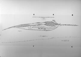 Reproducción fotográfica del plano y perfil longitudinal de la estación de clasificación de Núrem...