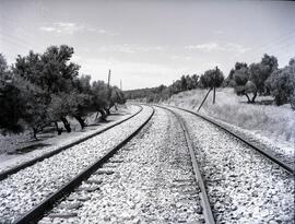 Renovación de vía entre los km 6,500 y 113,200 de la línea de Córdoba a Málaga