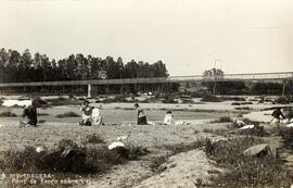 Viaducto sobre el río Tordera