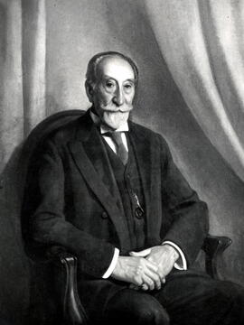 Retrato de D. Luis Briñas