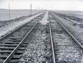 Renovación de vía entre Ávila y Medina del Campo (Valladolid), en la línea Madrid a Irún