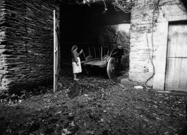 Paisajes y fotos de escenas costumbristas