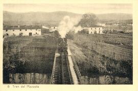 Tren del Plazaola en vía general