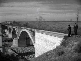 Puente de hormigón de 5 tramos y 200 m de longitud sobre el río Guadarrama, situado en el km 66/4...