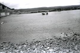 Sustitución del antiguo puente metálico de 11 tramos y 570,80 m sobre el río Guadiana, con vigas ...