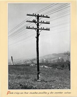 Poste nº 499 con tres crucetas sencillas y dos soportes cuñas
