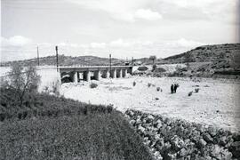 Puente o viaducto de hormigón de 8 tramos y 196 m de longitud, situado en el km 64,250 de la líne...